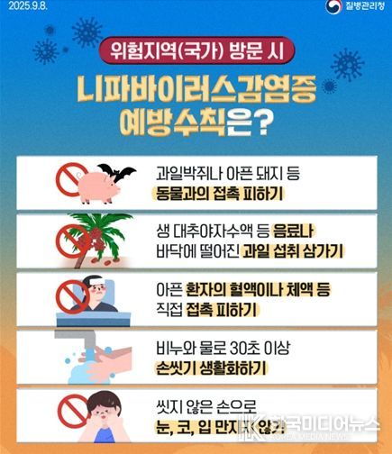 니파바이러스 예방수칙 질병청 카드뉴스