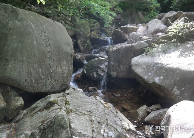 장흥 장천동과 팔경 암각문(세이담)