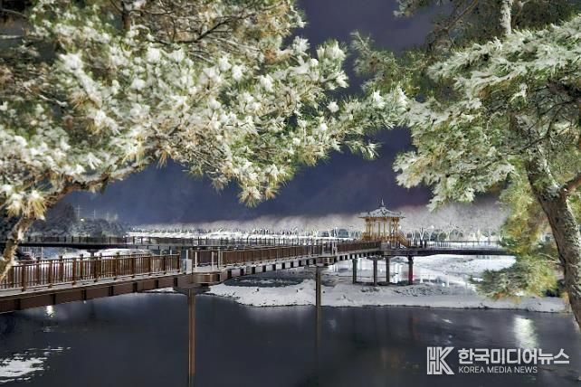 첫눈 내려 드러난 괴산 에코브릿지의 겨울 밤빛
