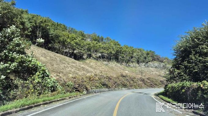 의성군, 1차 산불피해지 위험목 제거사업 추진 완료