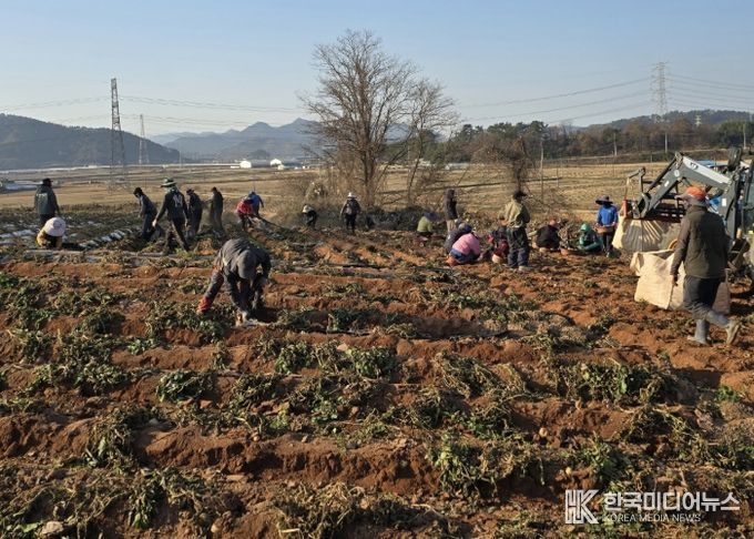 홍농청보리영농조합