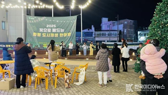 함평나비어울림센터 빛축제 전경