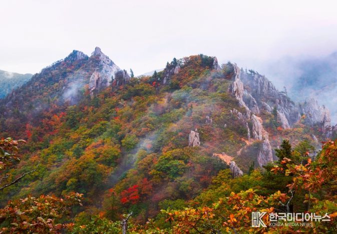 금상 어승완 공룡능선의비경(경기 군포)