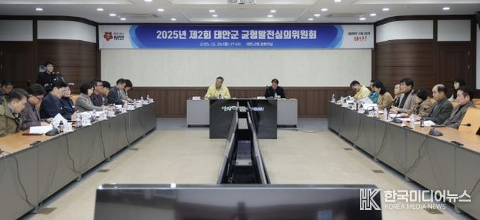 29일 군청 중회의실에서 개최된 균형발전심의위원회 회의 모습.