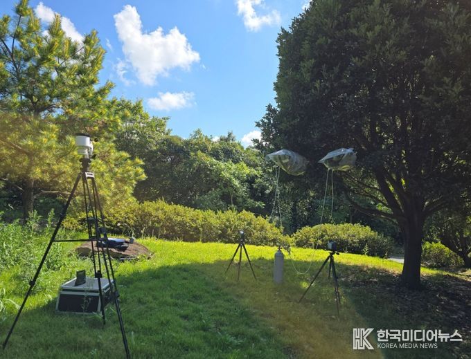 난대숲 피톤치드 발산추이 연구