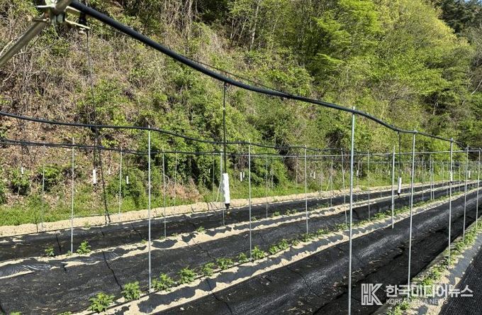 원예특작분야 지원사업 시설지원