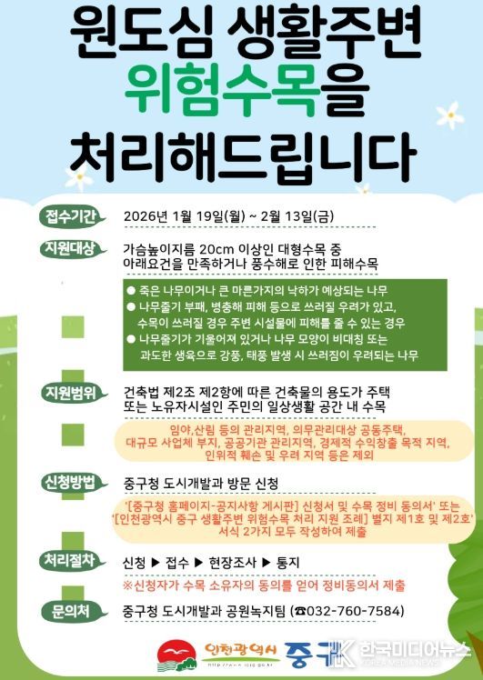 인천 중구, 원도심 ‘위험 수목’ 처리