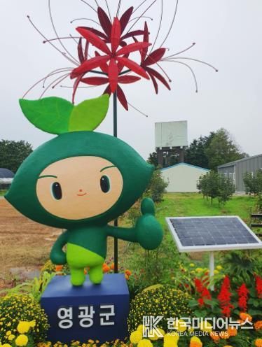 영광군, 2026년 상사화 모시 연구 고도화 추진