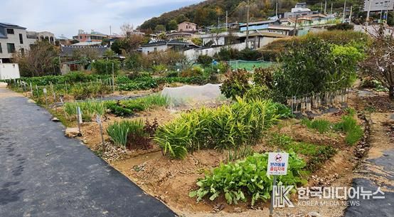 도시민 친환경 가족텃밭 전경(안산동)