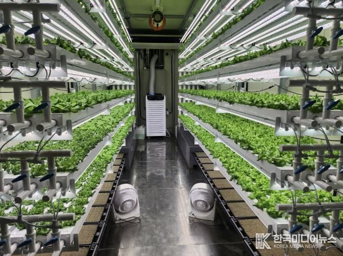 테이너형 수직농장 내부