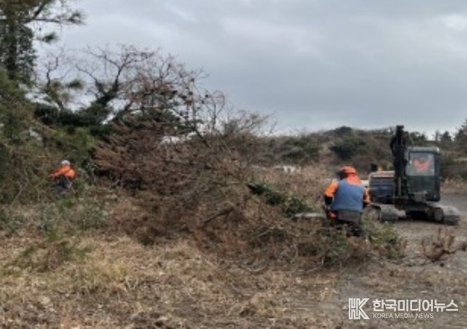 소나무재선충병 방제사업