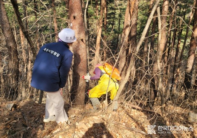 소나무재선충병 예방나무주사 사업지 점검