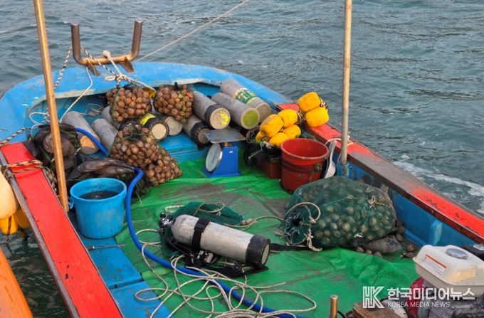 완도해경에서 단속한 새조개 불법 조업 현장의 모습