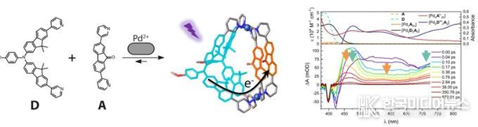 광유도 전하 분리 초분자 나노구조 규명