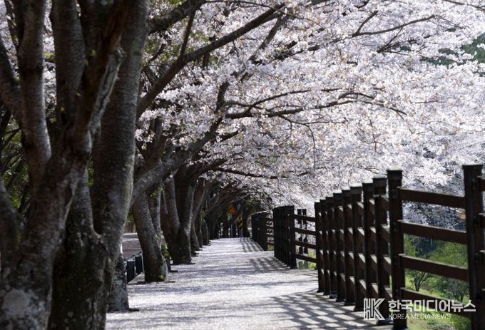 고흥군, 여행가는 달 ‘우주철도 999’ 특별운영.