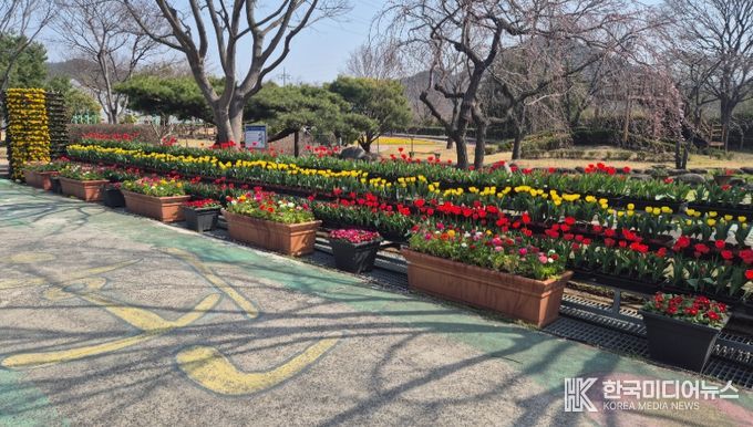 광양시농업기술센터, 시험포장 봄꽃 집중전시 운영