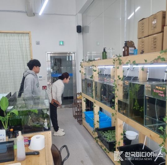 해남군 창업블랜딩 플랫폼 땅끝메데카