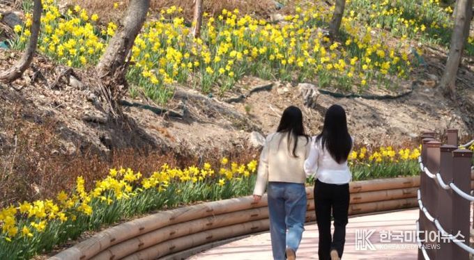 진도군, 산림욕장 내 생태탐방로에 ‘봄을 알리는 꽃 만개’
