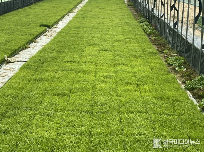 음성군, 벼 파종 전 종자 관리 꼼꼼히 챙기세요