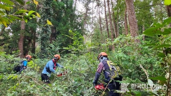 방치된 산도 신청만 하면 체계적으로 관리