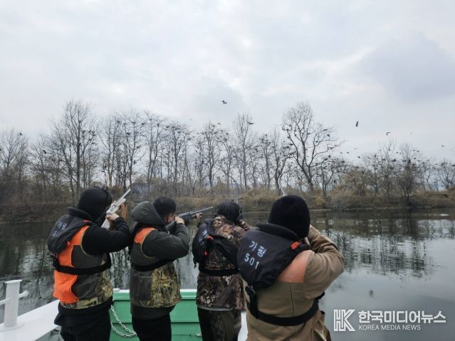 가평군, 북한강 민물가마우지 집중 포획 나선다