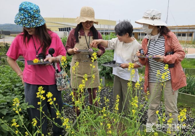 남동구, 초록빛‘도시농업’으로 숨 쉬다