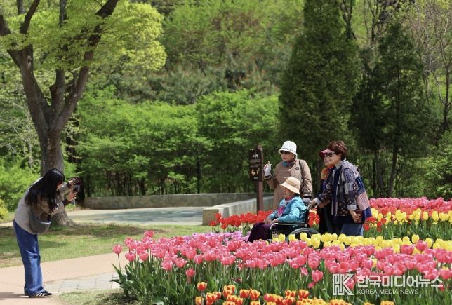 부천자연생태공원에 활짝 핀 튤립 사이로 시민들이 사진을 찍고 있다.