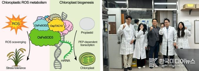 전남대 장규필 교수팀, 기후위기 작물 공식 깼다