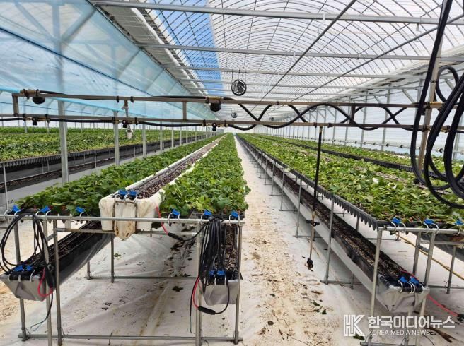 친환경농업육성기금 사진-하우스 운영자금