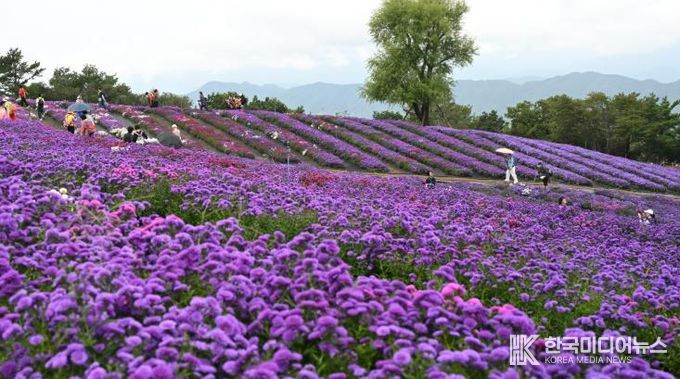 거창군 제6회 감악산 꽃별여행 교통대책 준비