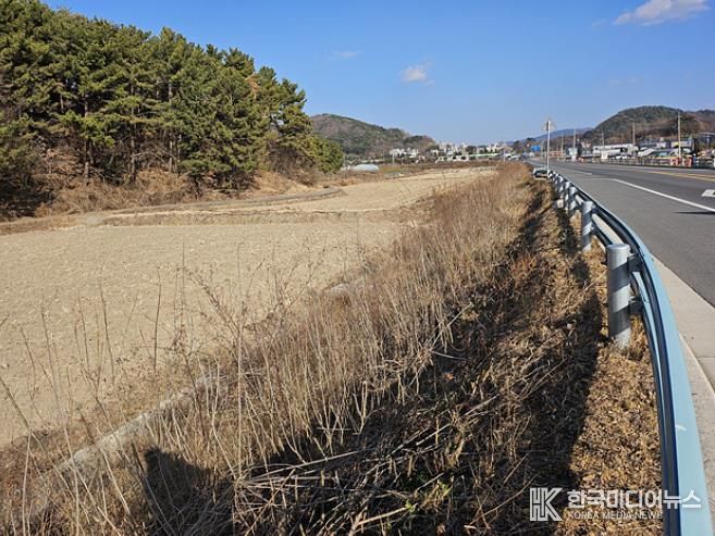 해룡면 남가리 월전2교차로부터 남가교까지 약 1km 구간에 배롱나무 식재