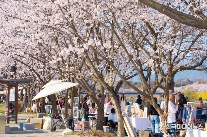 2026 제4회 구례300리 벚꽃축제