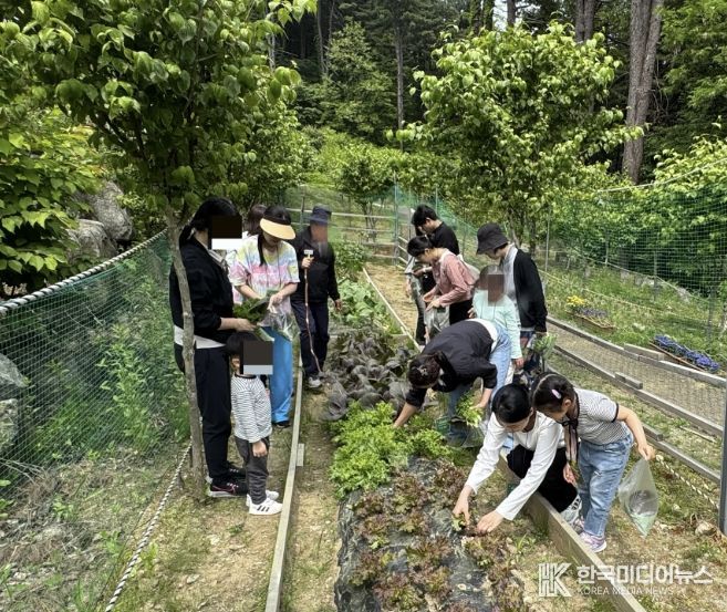 가평군 ‘숲의 약속’, 가족 힐링캠프 선착순 모집