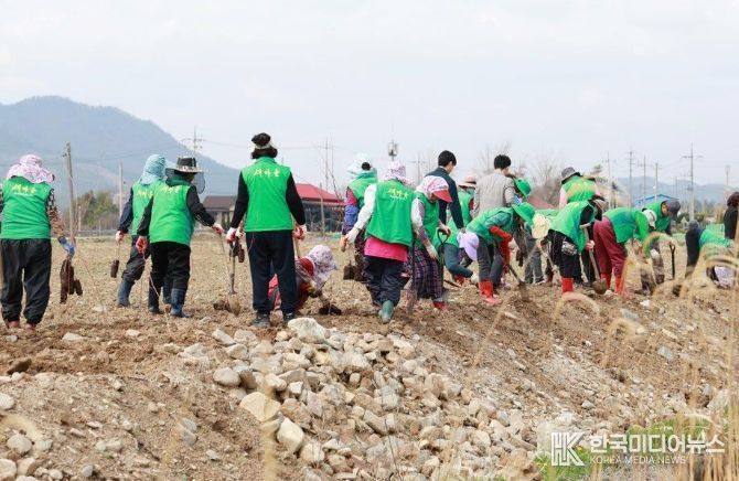 화순군새마을회 ‘10만 그루 나무 심기’ 행사에서 회원들이 나무를 심고 있다