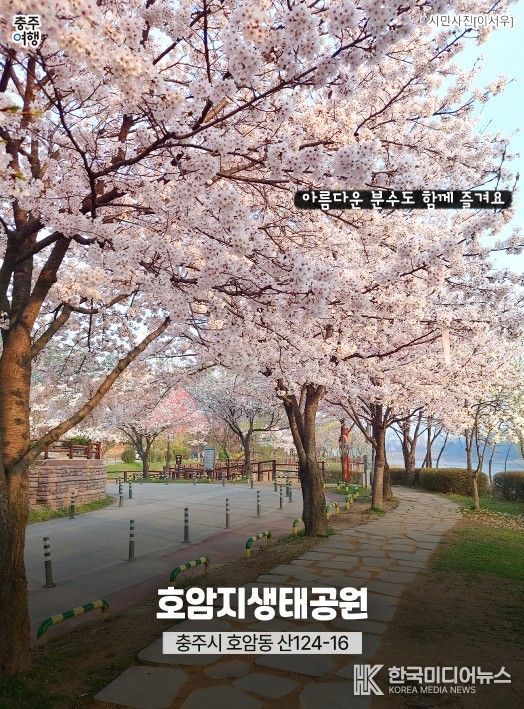 ‘충주 벚꽃 명소’ 홍보물