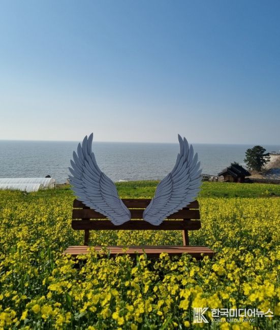 영광군, 새 포토존과 함께 유채꽃 만발한 봄 풍경 제공