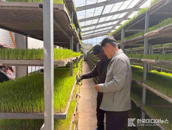 “발아율 검사, 종자소독 등 벼 안전 육묘 실천