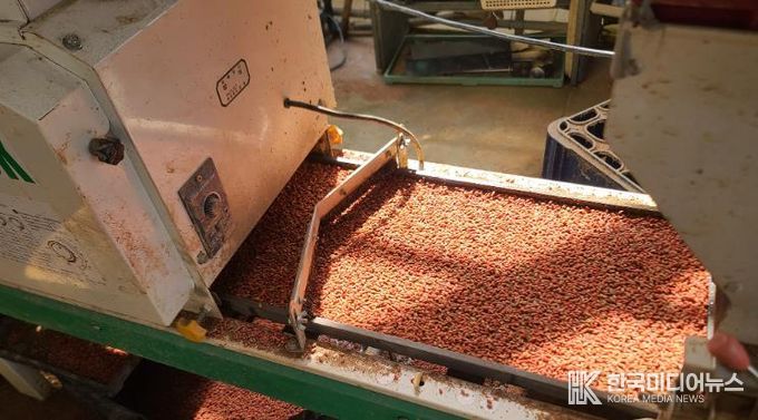 서산시, 벼 종자소독·못자리 현장 중점지도반 운영