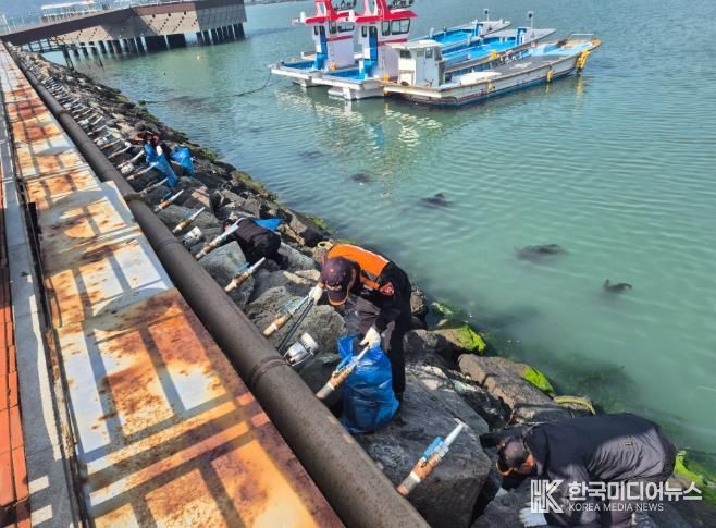 해양환경구조협회 강진구조대에서 해양 정화활동하는 모습