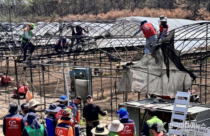 산불 피해 현장 복구