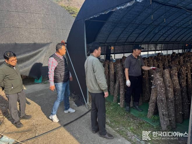 표고버섯 컨설팅